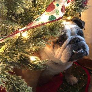 Meet your Posher, Lillian